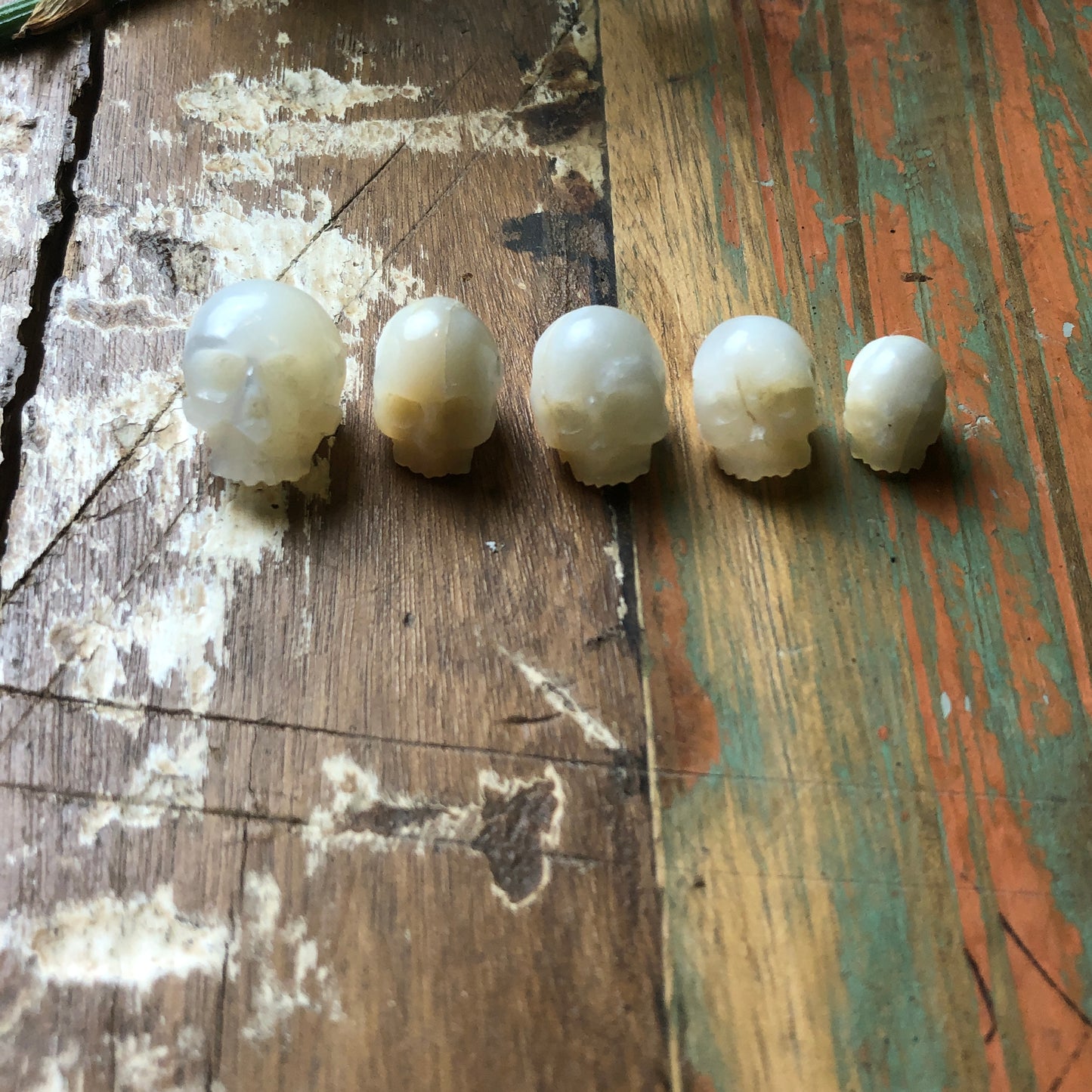 M.O.P Carvings, Skull - Shakti