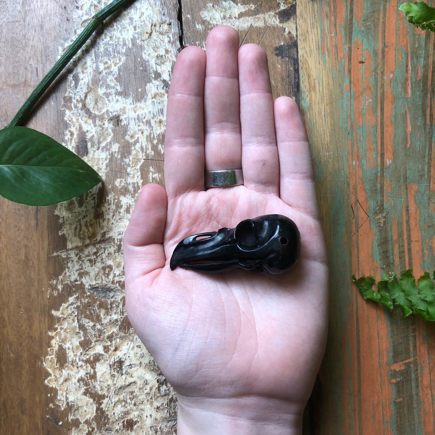 Horn Carvings, Crow Skull - Shakti