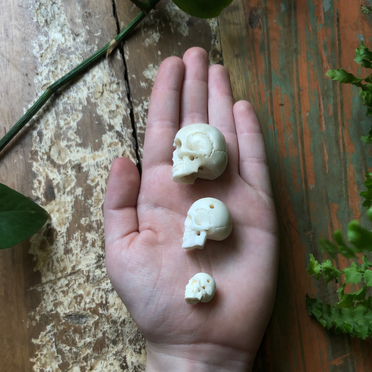 Bone Carvings, Skull - Shakti
