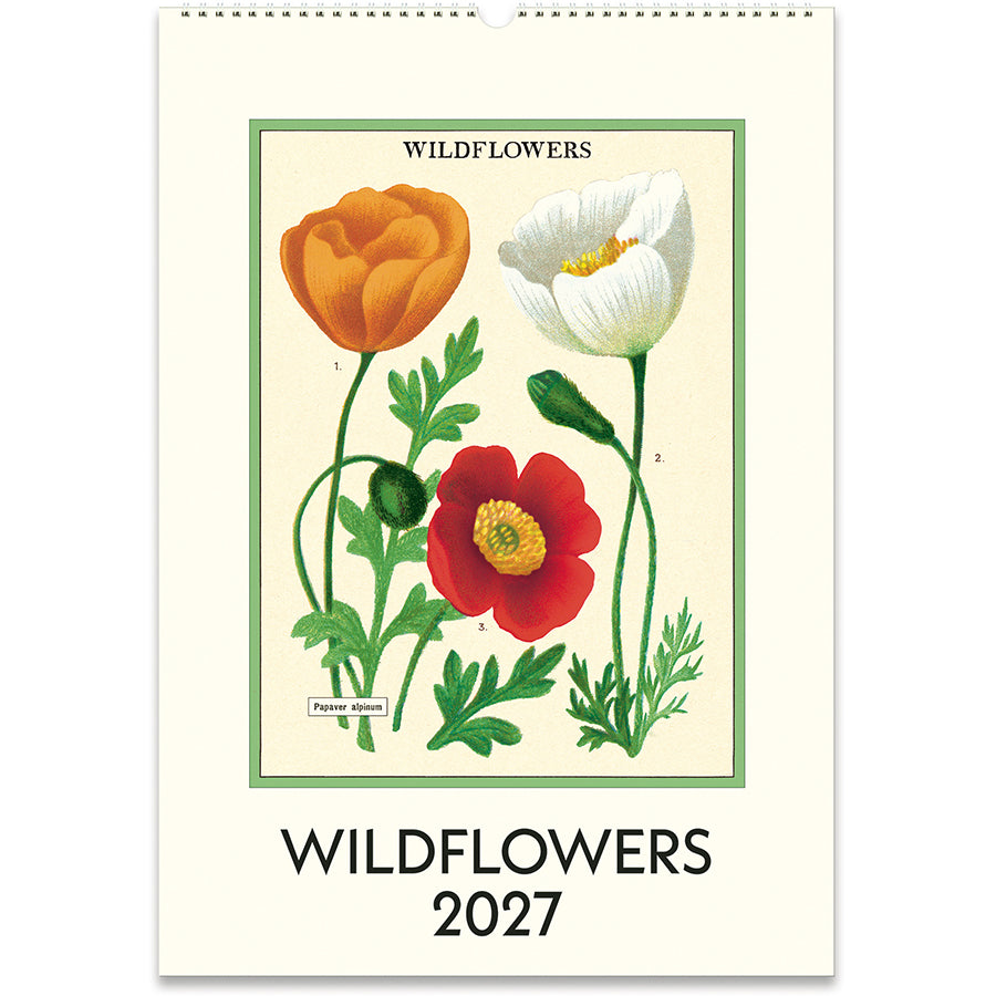 Wall Calendar 2027
