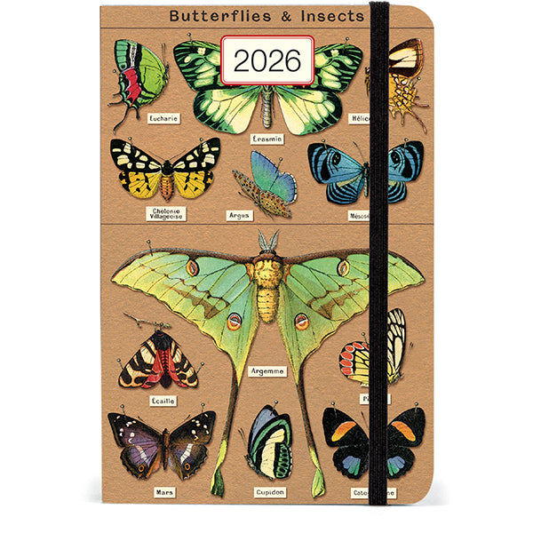 Weekly Planner 2026