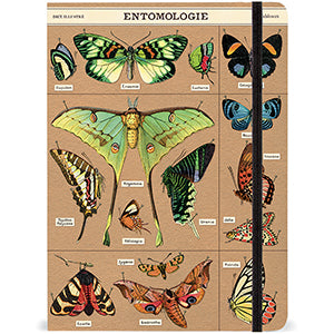 Large Notebooks