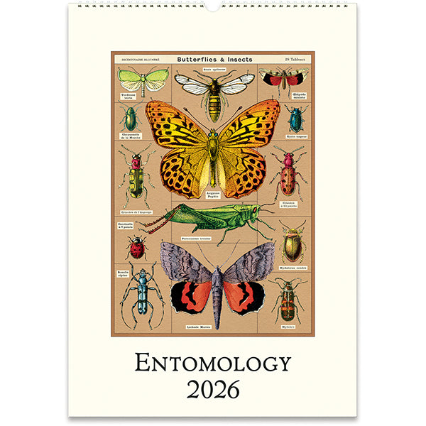 Wall Calendar 2026