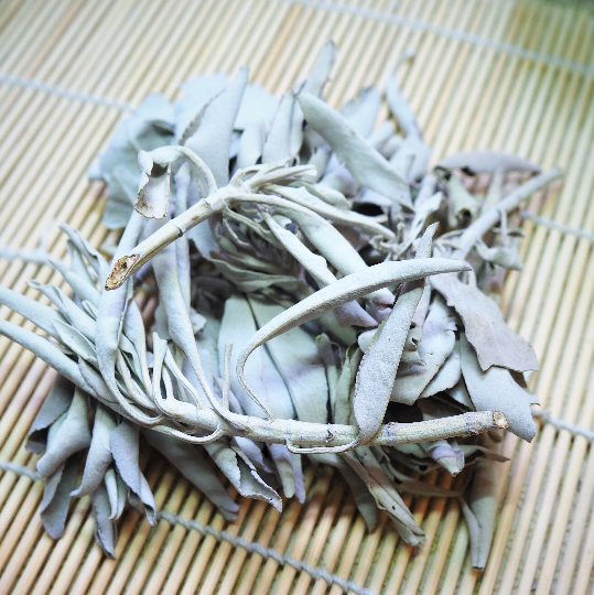 White Sage - Shakti