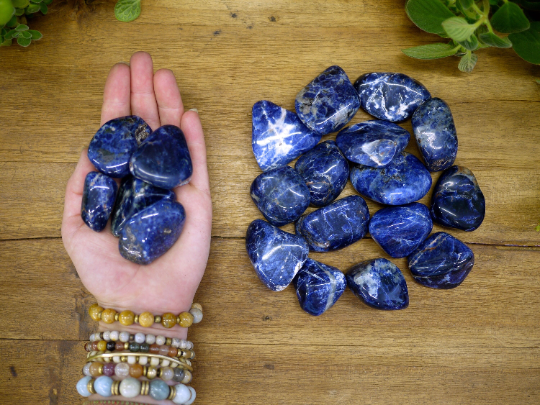 Sodalite Tumble Stones - Shakti