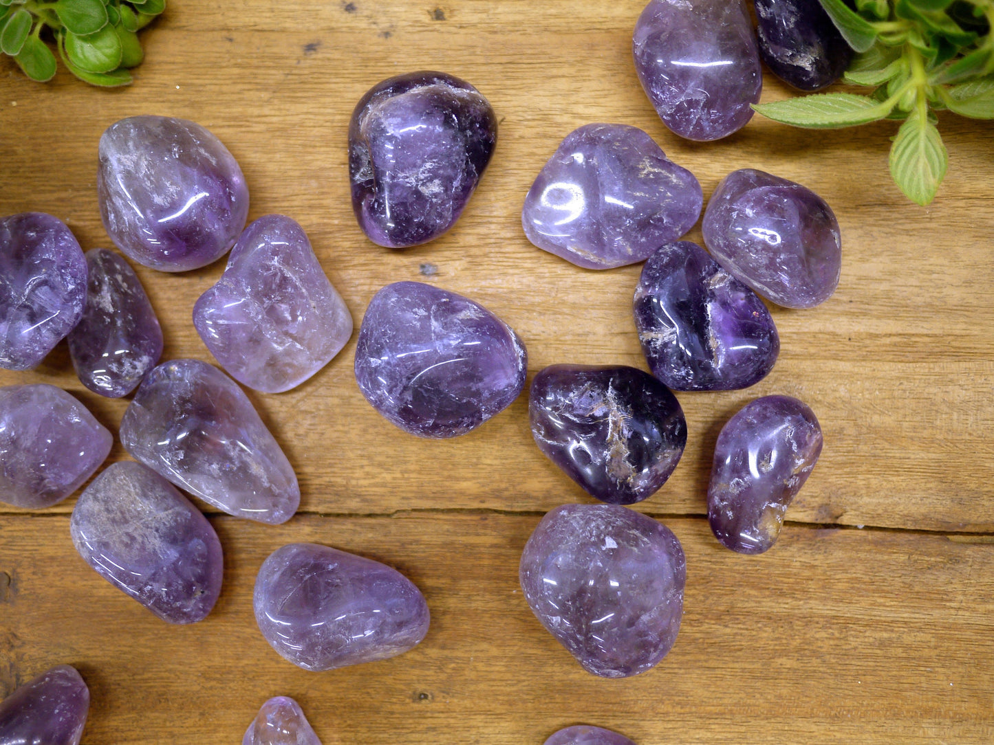 Amethyst Tumble Stones - Shakti