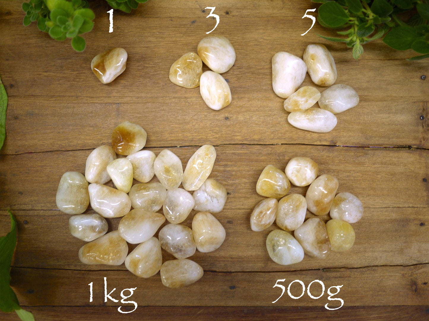 Citrine Tumble Stones - Shakti
