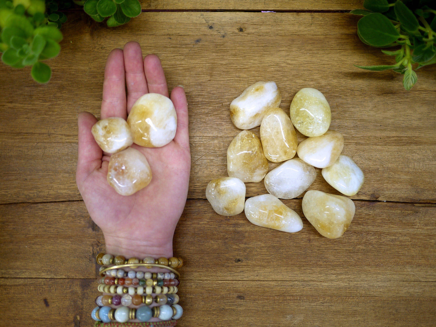 Citrine Tumble Stones - Shakti