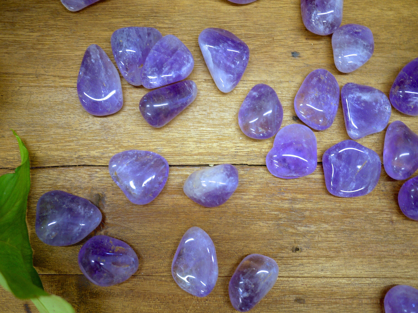 Amethyst Tumble Stones - Shakti