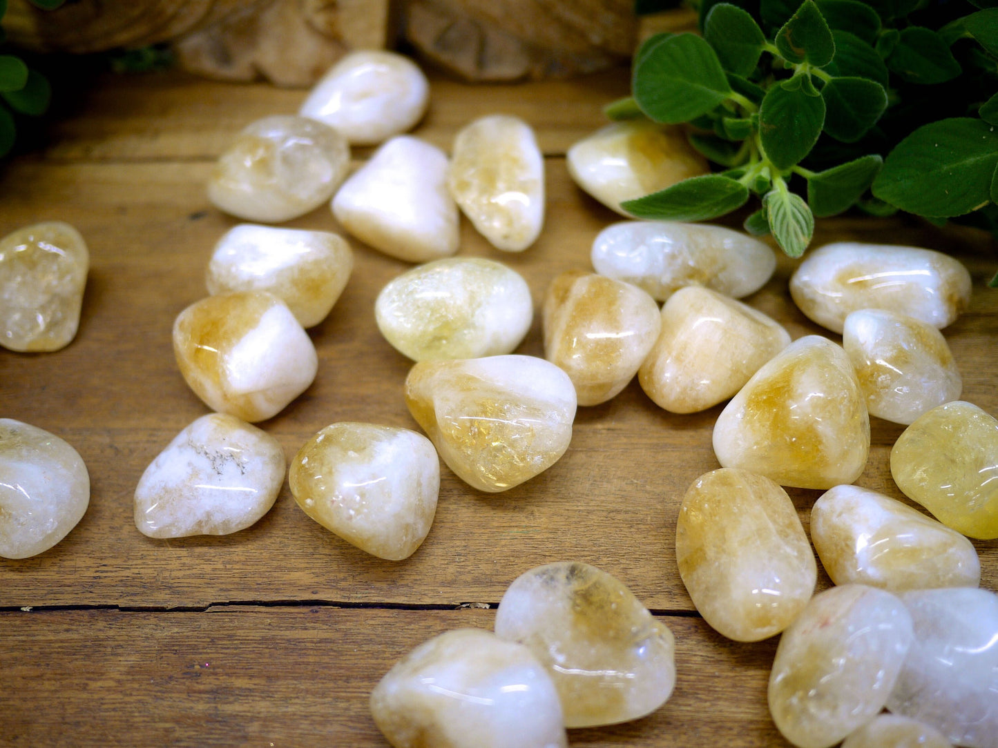 Citrine Tumble Stones - Shakti