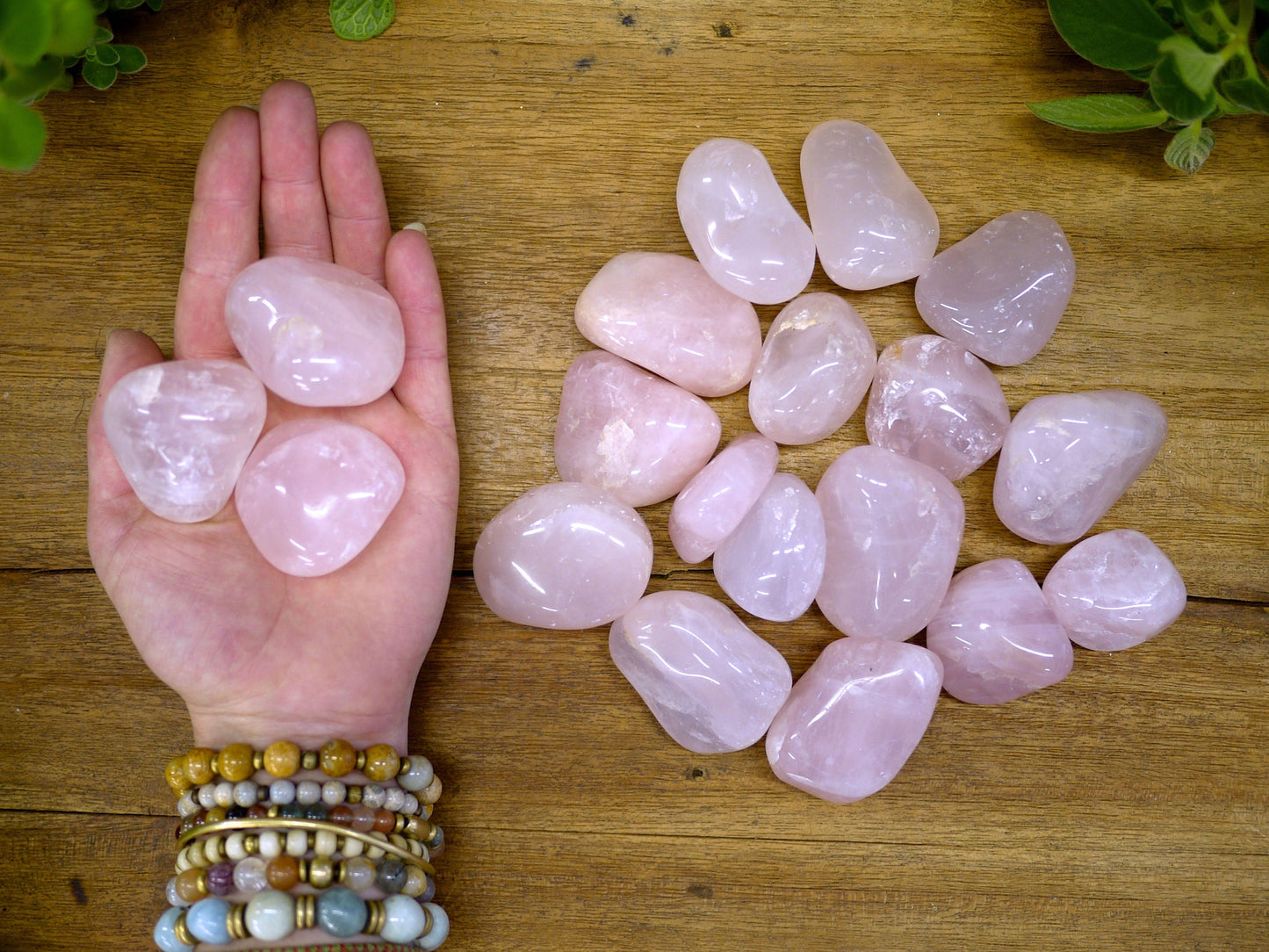 Rose Quartz Tumble Stones - Shakti