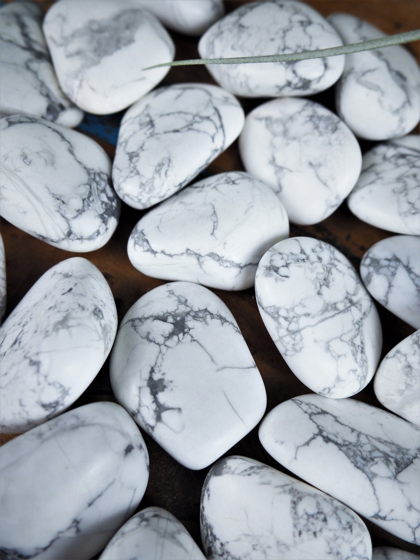 White Howlite Tumble Stones - Shakti