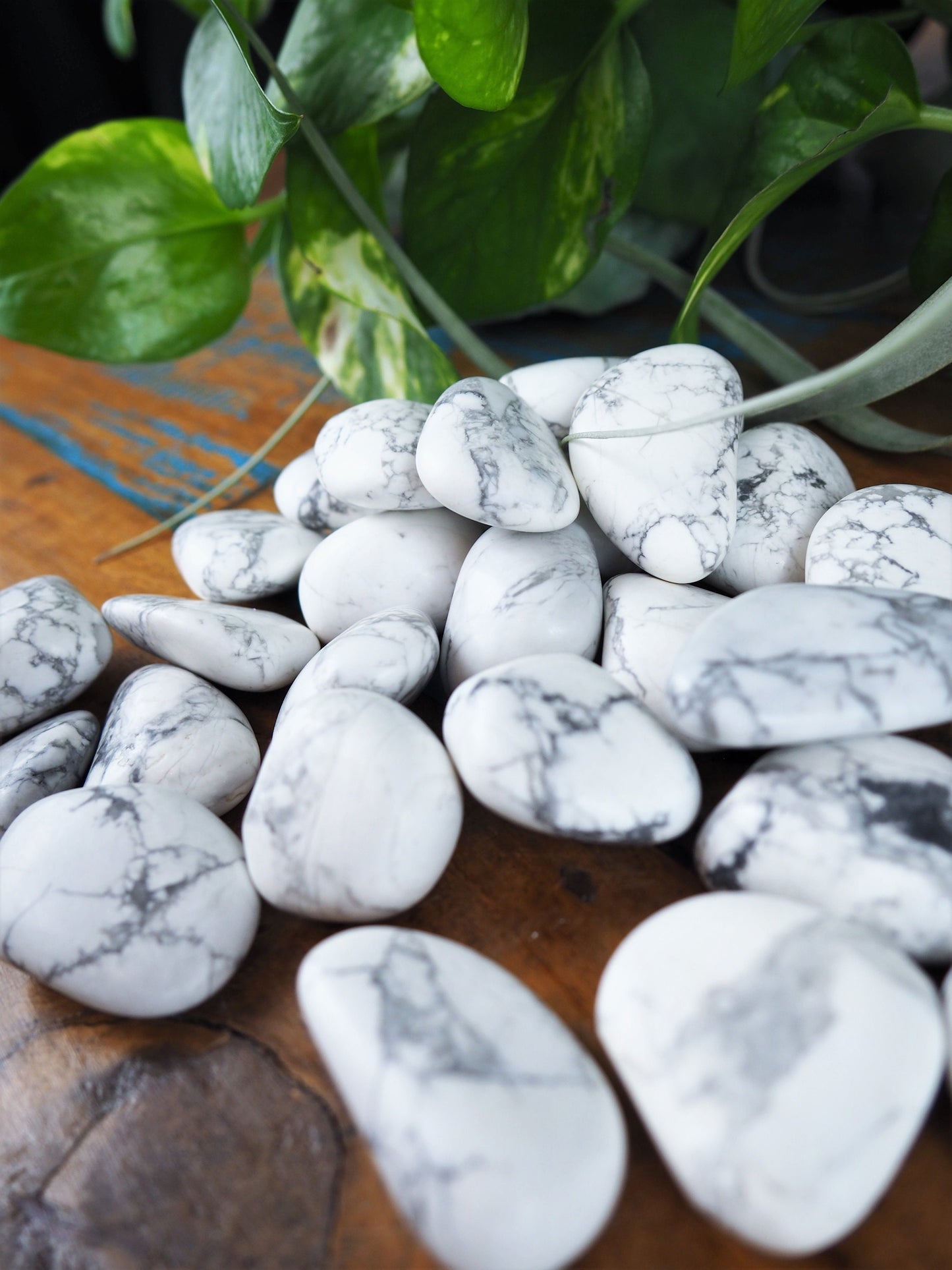 White Howlite Tumble Stones - Shakti