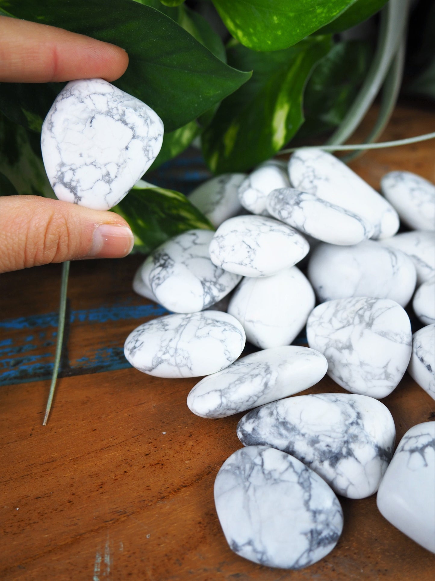 White Howlite Tumble Stones - Shakti