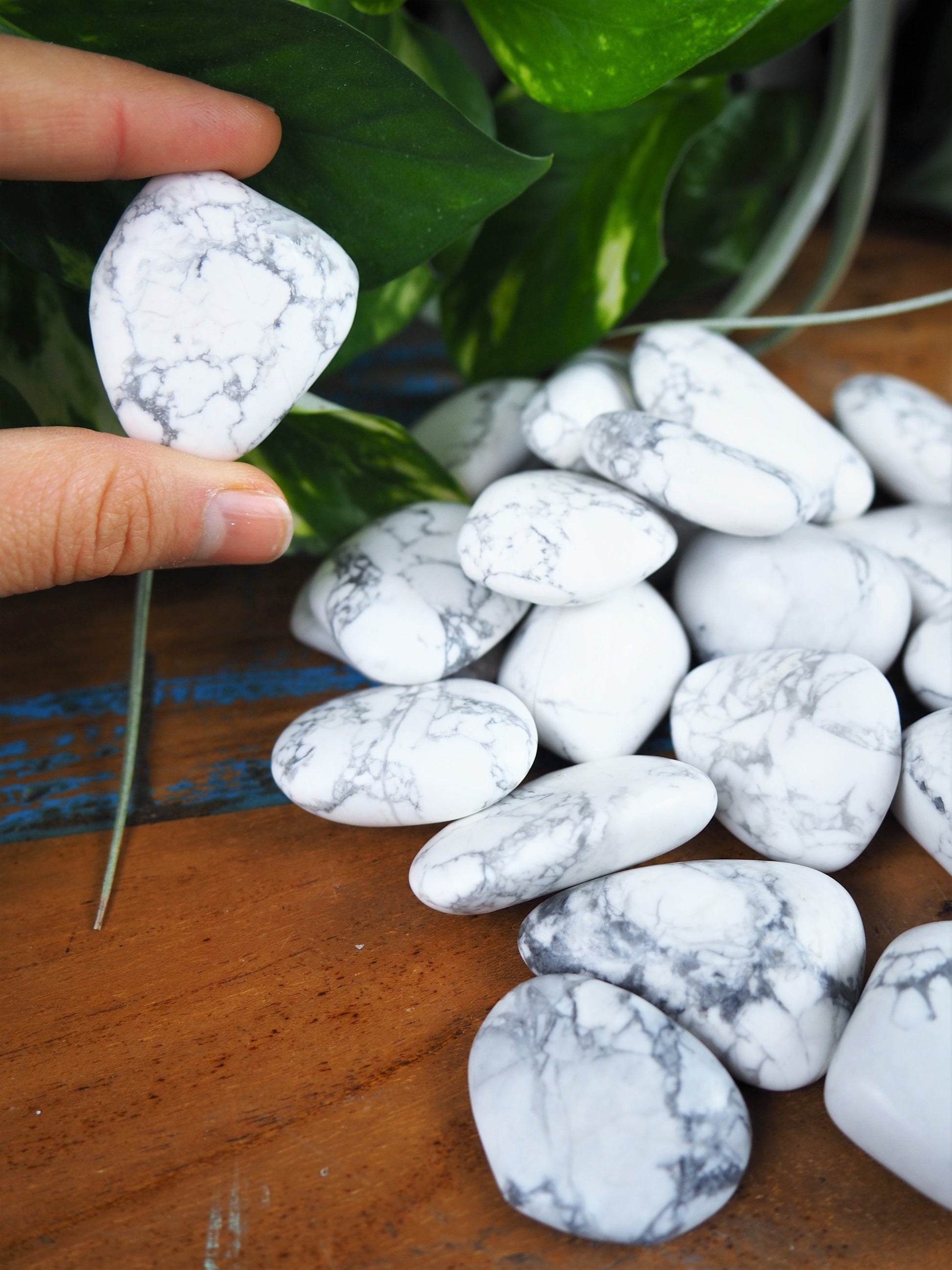White Howlite Tumble Stones - Shakti