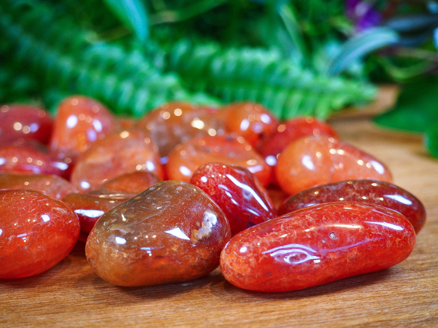 Carnelian Tumble Stones - Shakti
