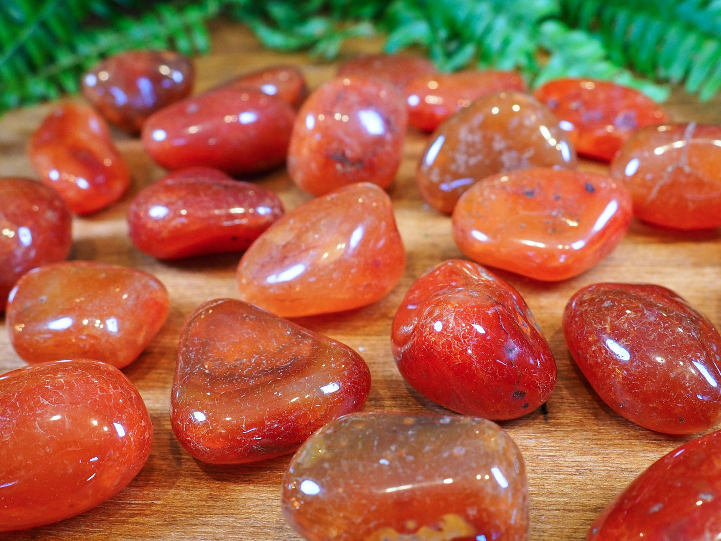 Carnelian Tumble Stones - Shakti