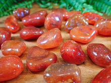 Load image into Gallery viewer, Carnelian Tumble Stones
