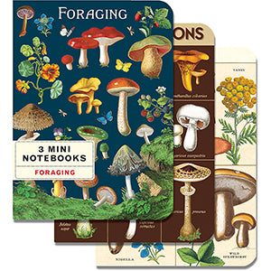 Mini Notebooks (Set of 3)