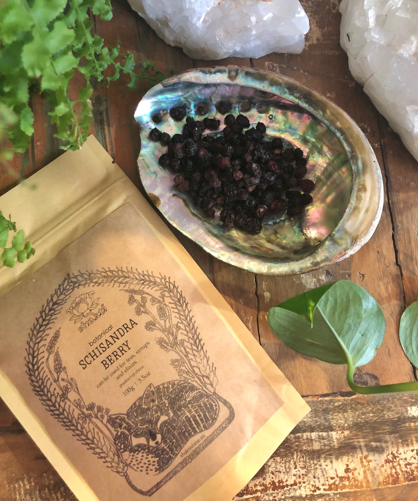 Botanicals - Schisandra Berry