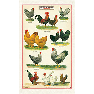 Vintage Tea Towel