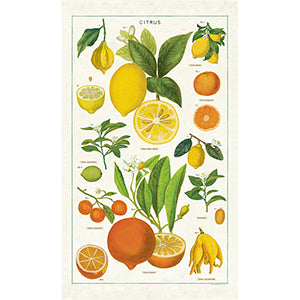 Vintage Tea Towel