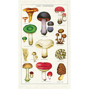 Tea Towel - Shakti