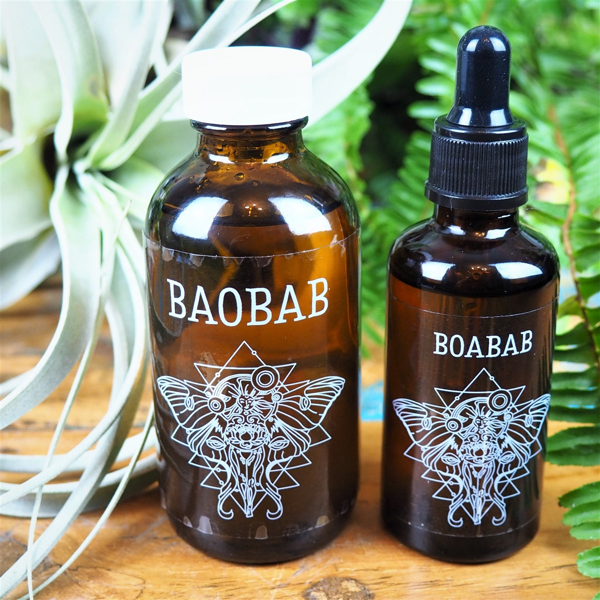 Baobab Oil, Organic - Shakti