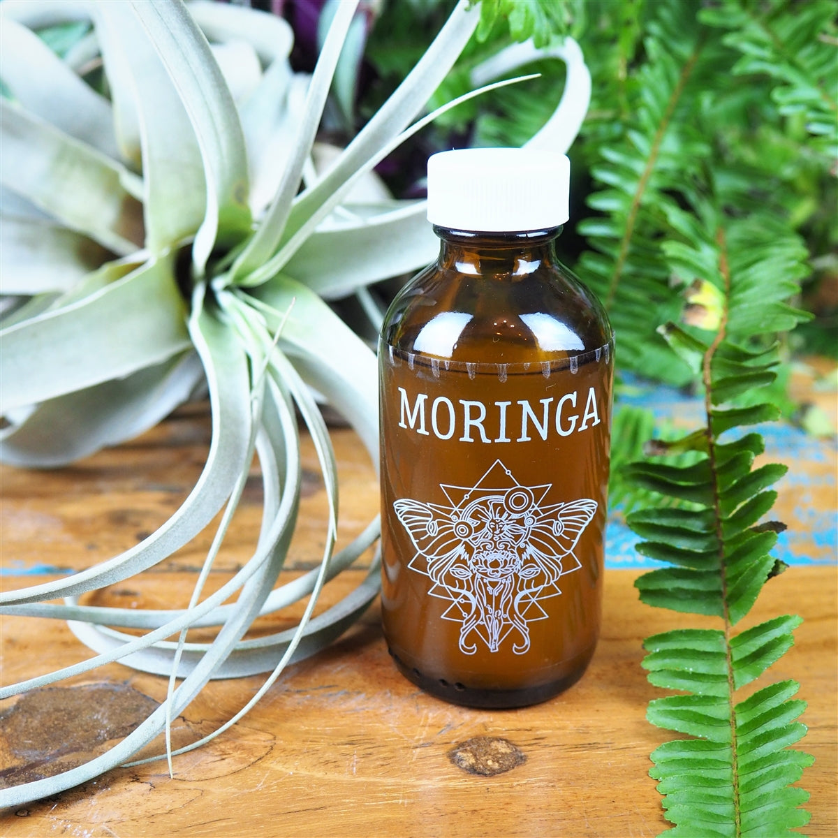 Moringa Oil - Shakti