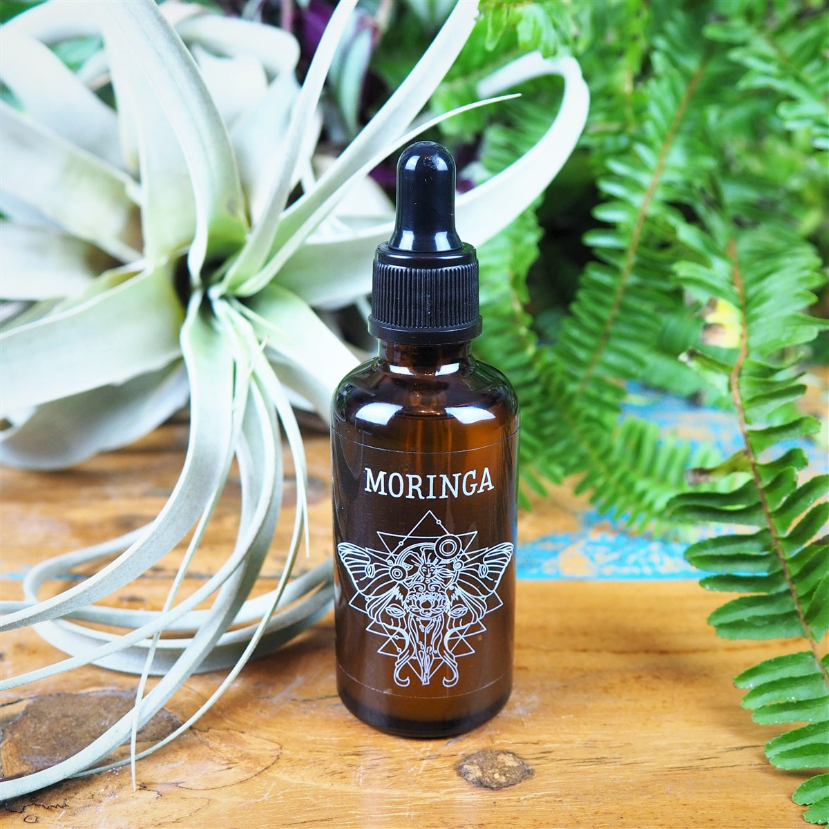 Moringa Oil - Shakti