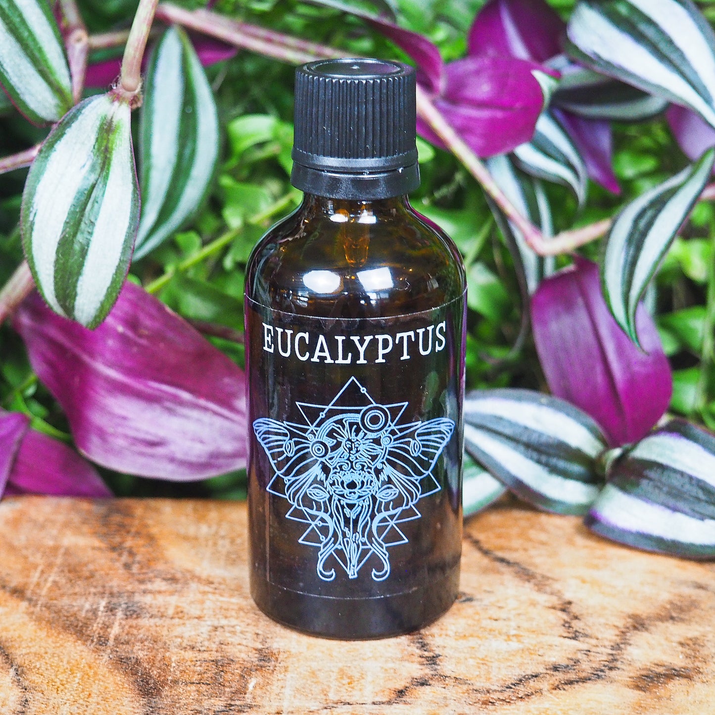 Eucalyptus Essential Oil - Shakti