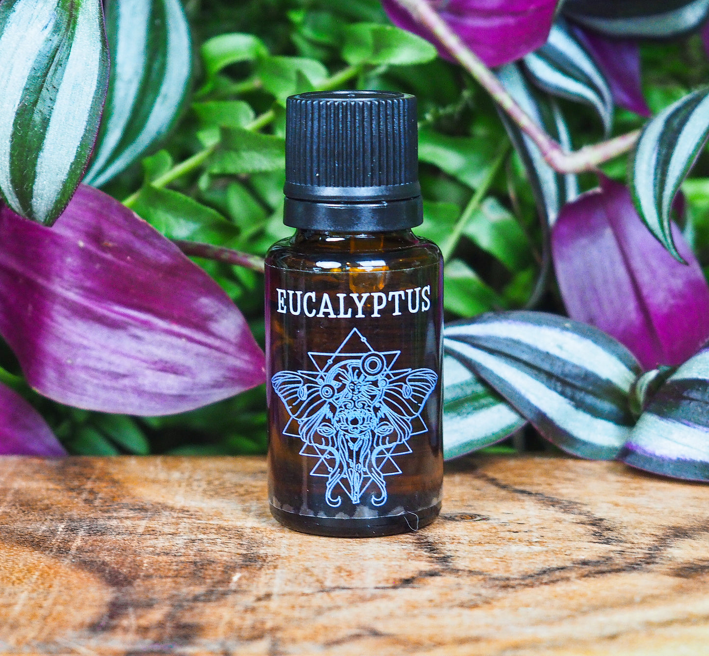 Eucalyptus Essential Oil - Shakti