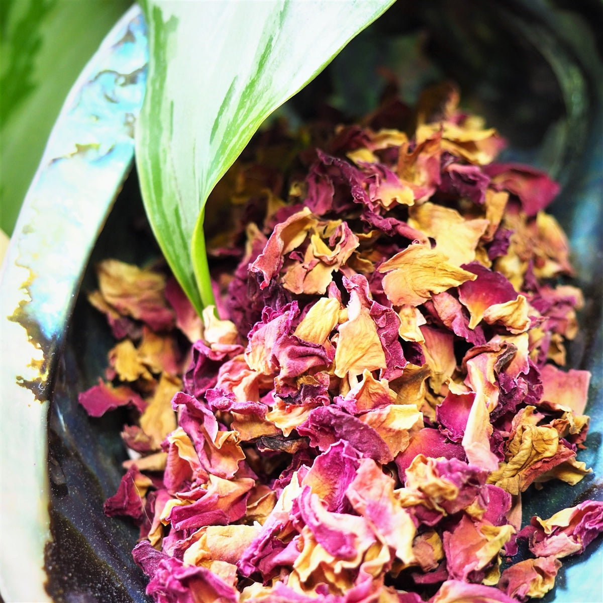 Botanicals - Rose Petals 28g - Shakti