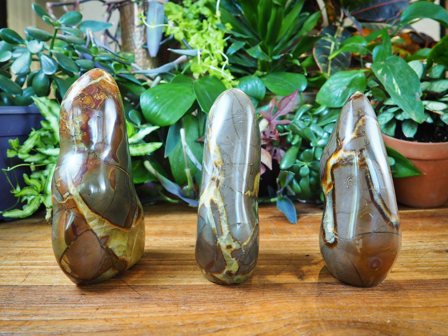 Septarian/Calcite Free Forms - Shakti