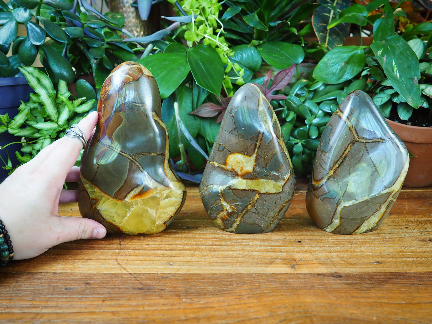 Septarian/Calcite Free Forms - Shakti
