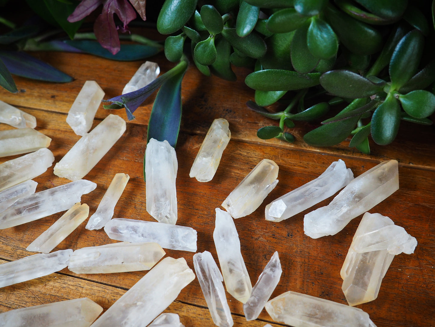 Lemurian Seed Quartz Points - Shakti