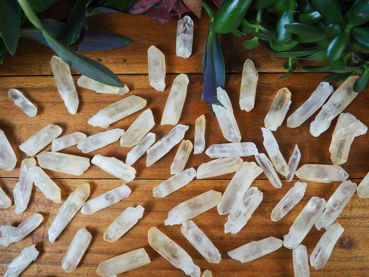 Lemurian Seed Quartz Points - Shakti