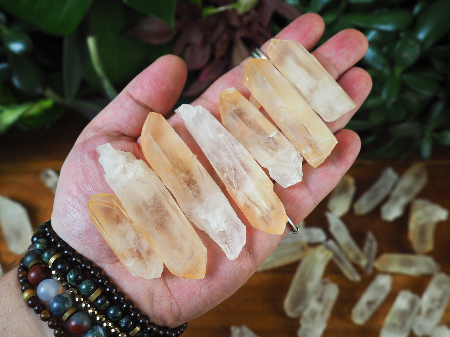 Lemurian Seed Quartz Points - Shakti