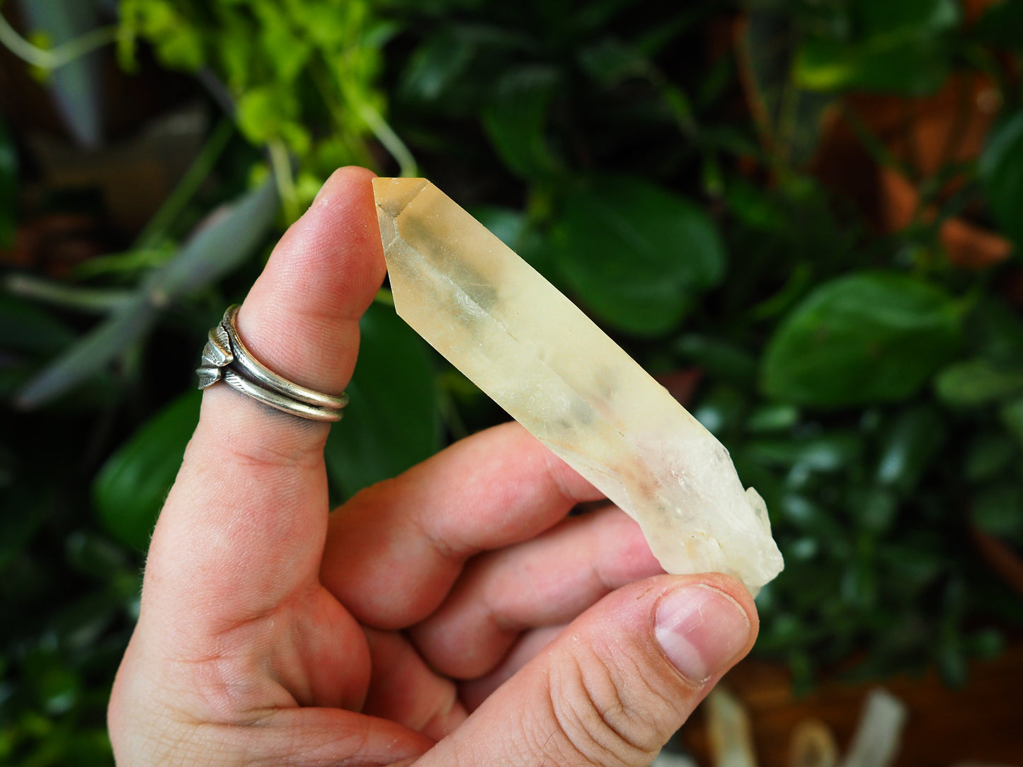 Lemurian Seed Quartz Points - Shakti