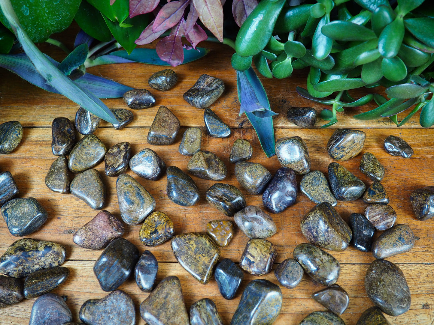 Bronzite Tumble Stones - Shakti