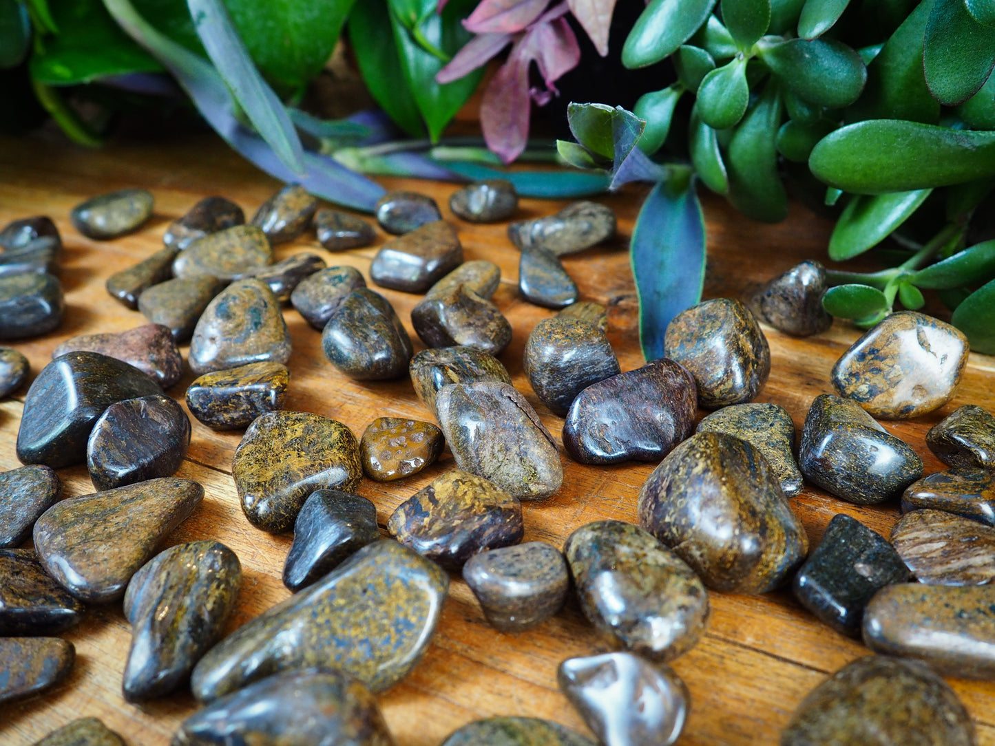 Bronzite Tumble Stones - Shakti