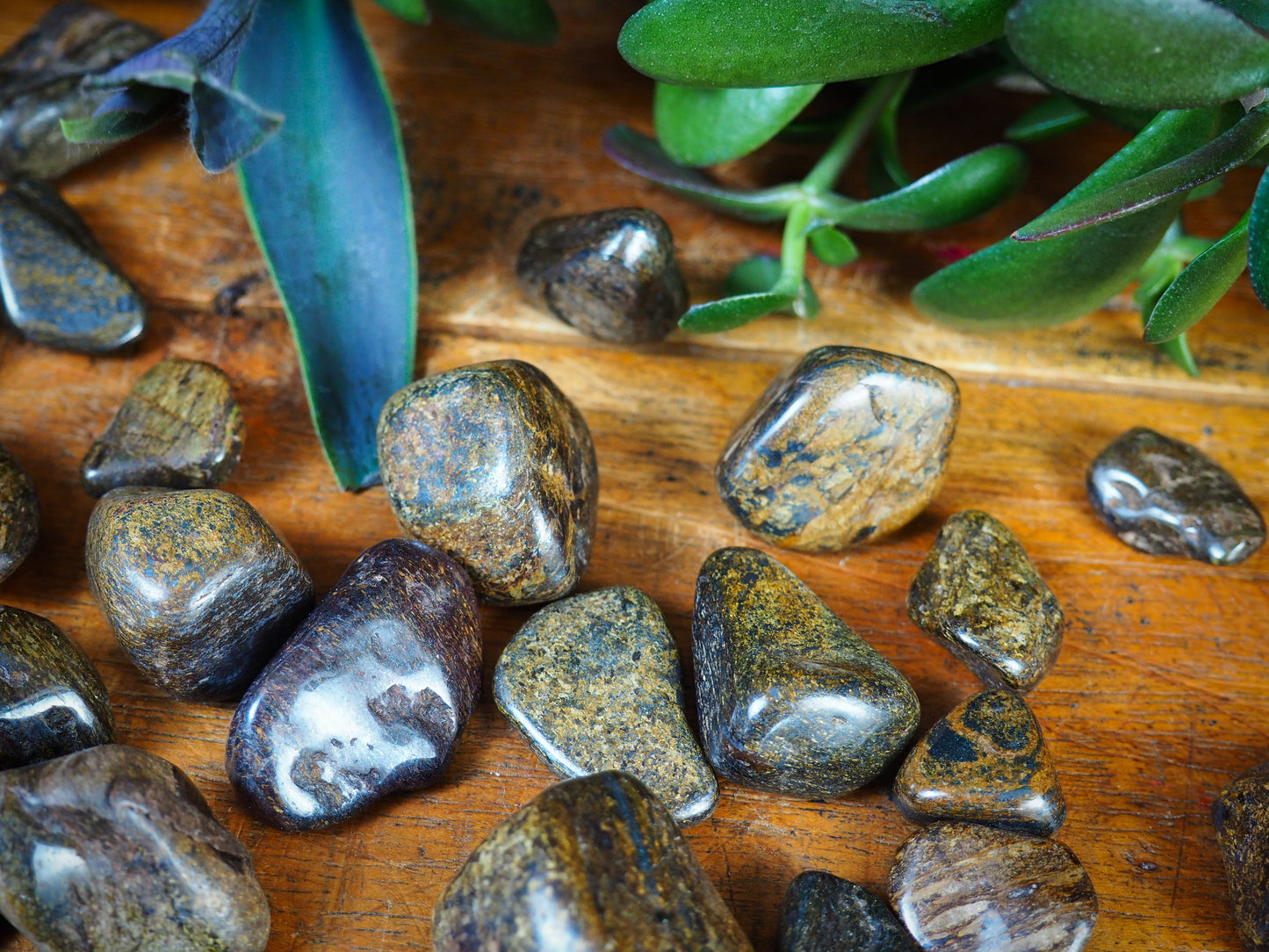 Bronzite Tumble Stones - Shakti