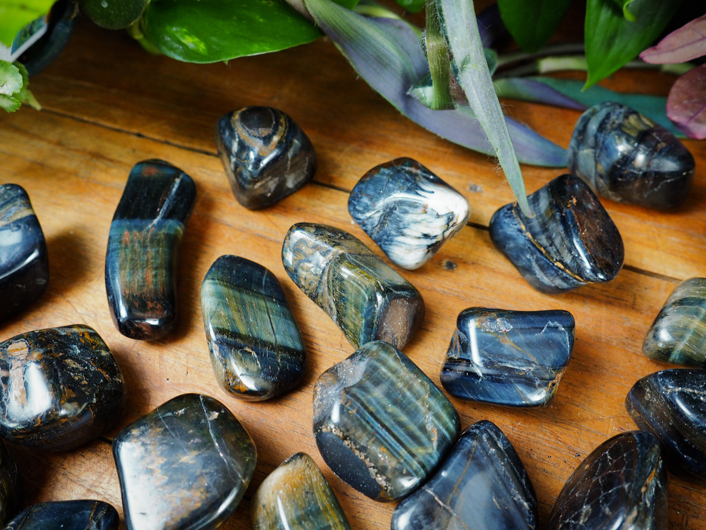 Blue Tiger's Eye Tumble Stones - Shakti
