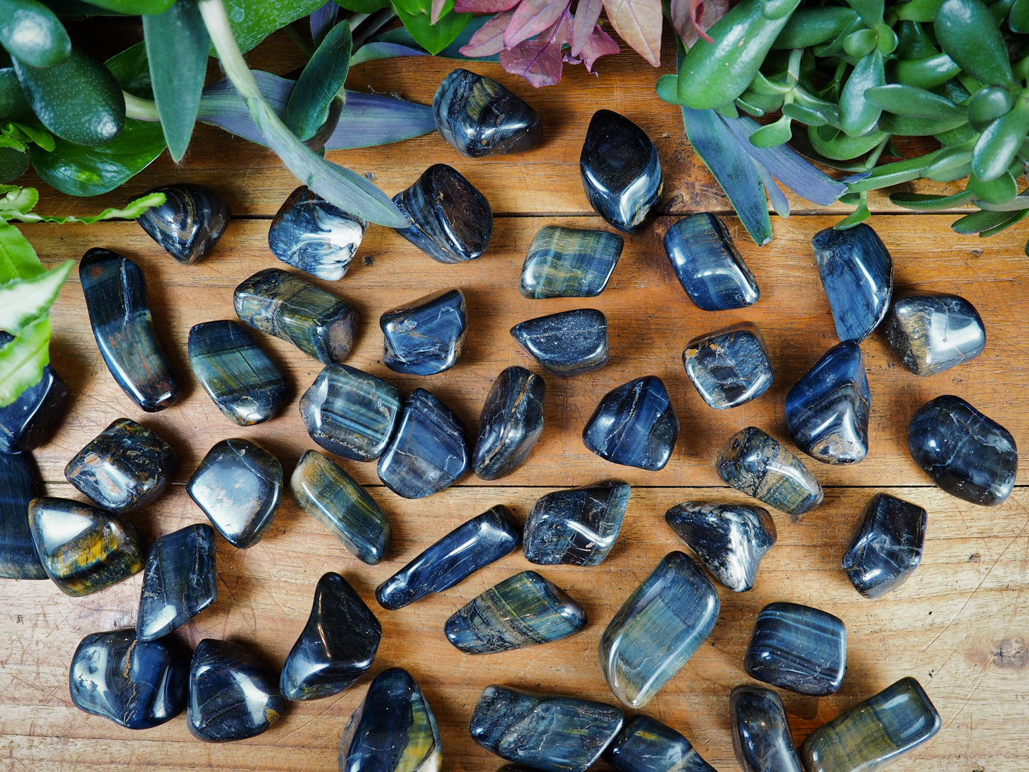 Blue Tiger's Eye Tumble Stones - Shakti