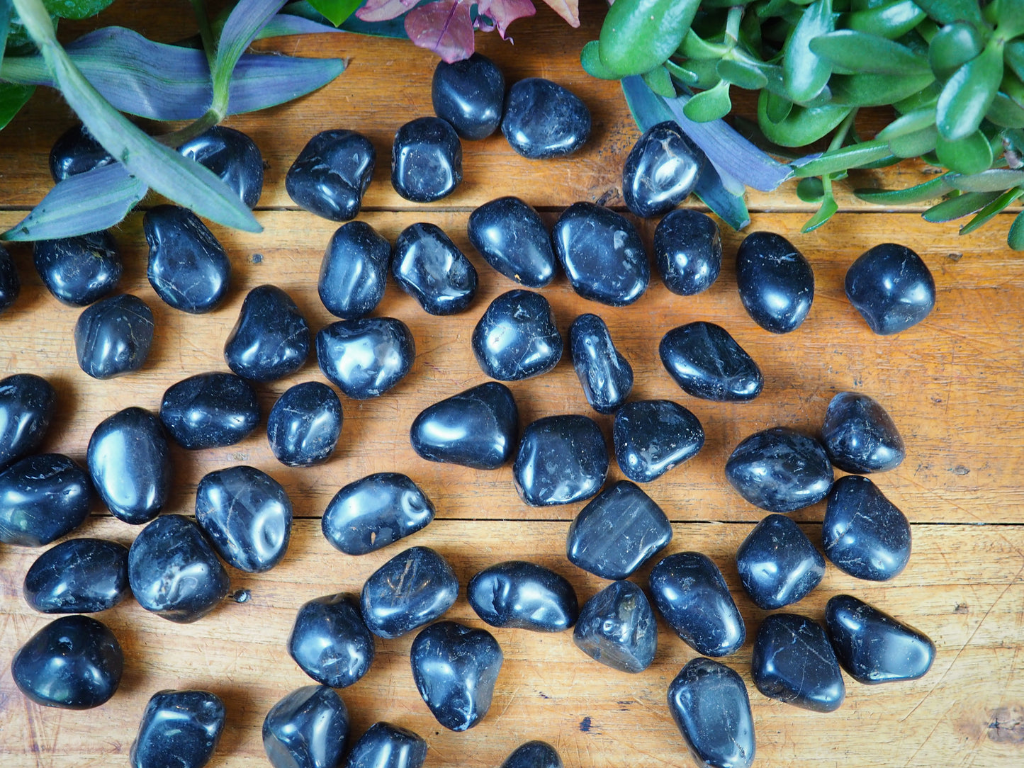 Black Onyx Tumble Stones - Shakti