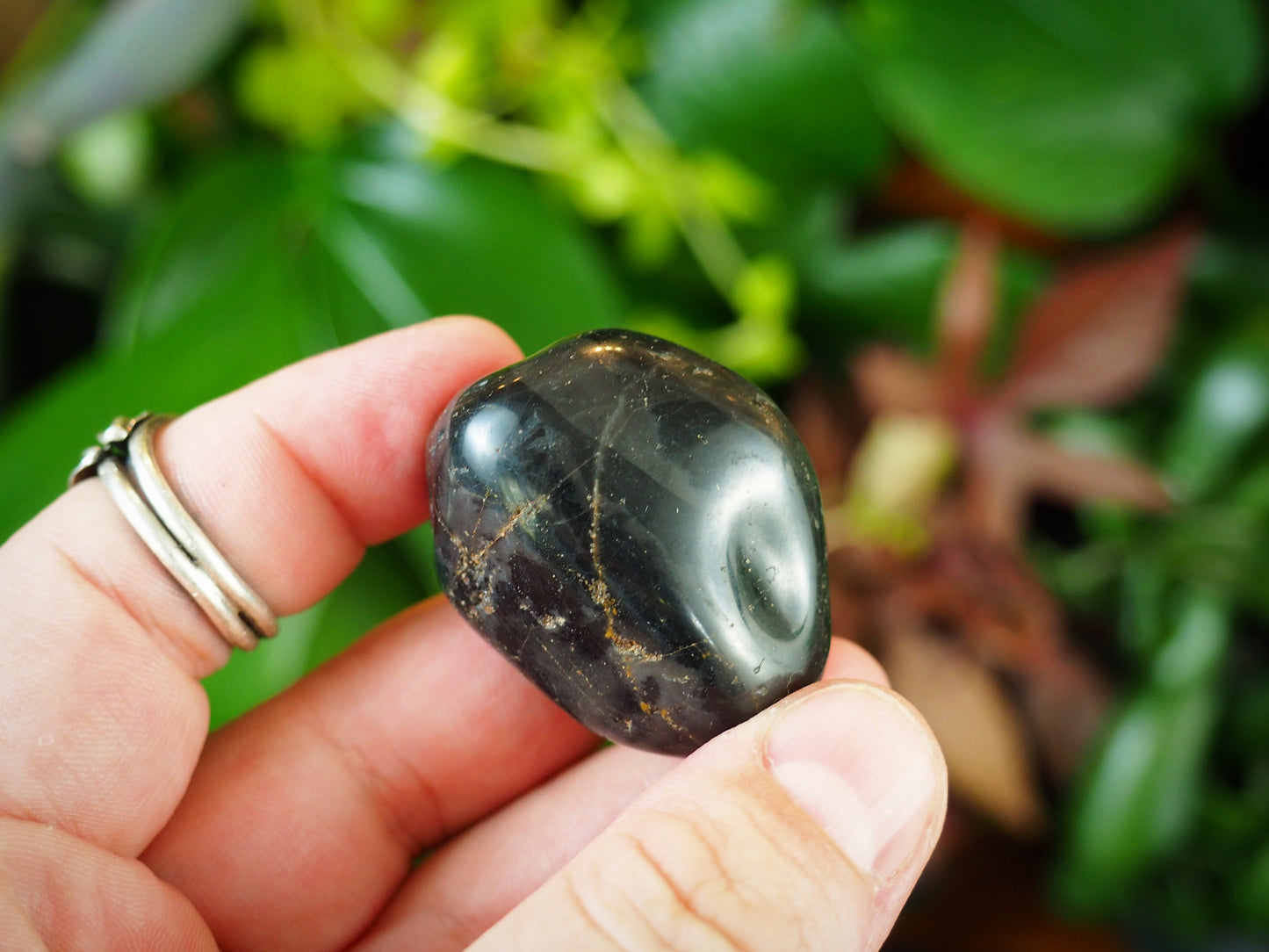 Black Onyx Tumble Stones - Shakti