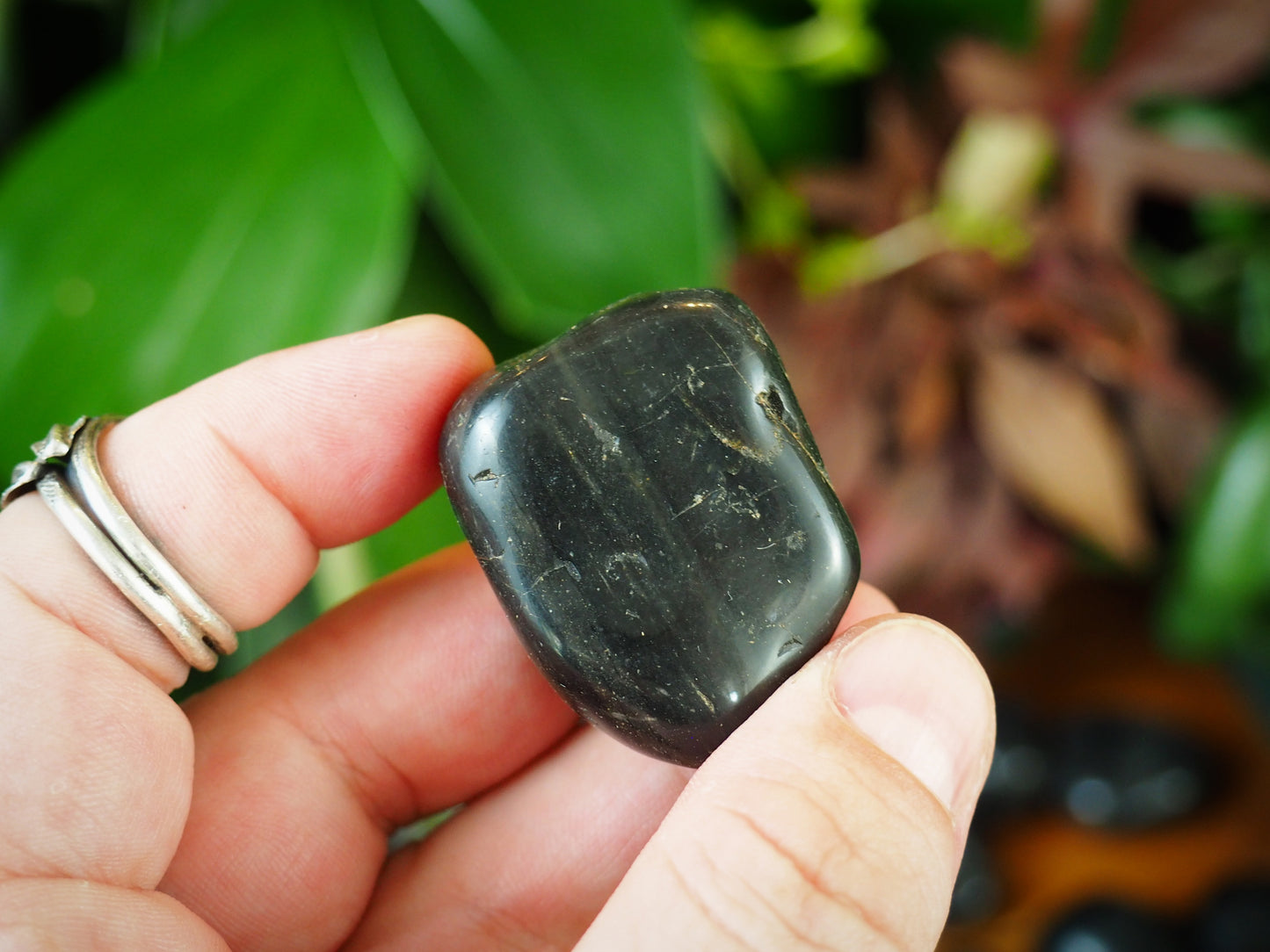 Black Onyx Tumble Stones - Shakti
