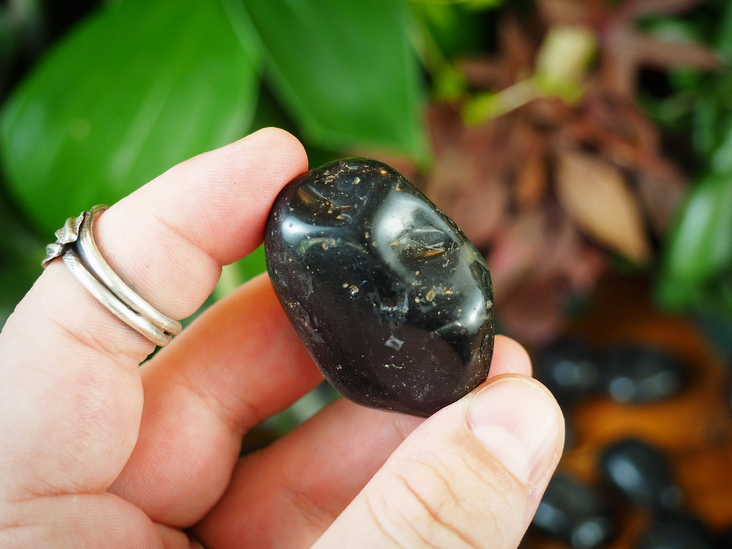 Black Onyx Tumble Stones - Shakti