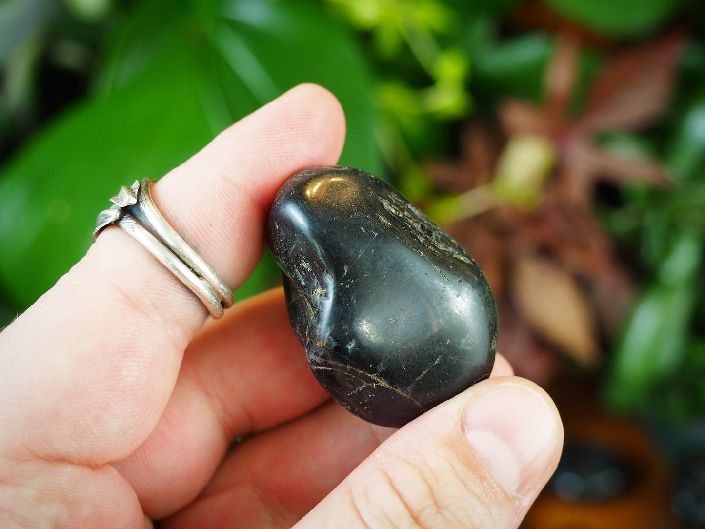 Black Onyx Tumble Stones - Shakti