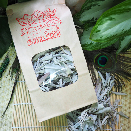 White Sage - Shakti